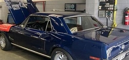 Vehicle diagnostics and fault finding Hamilton