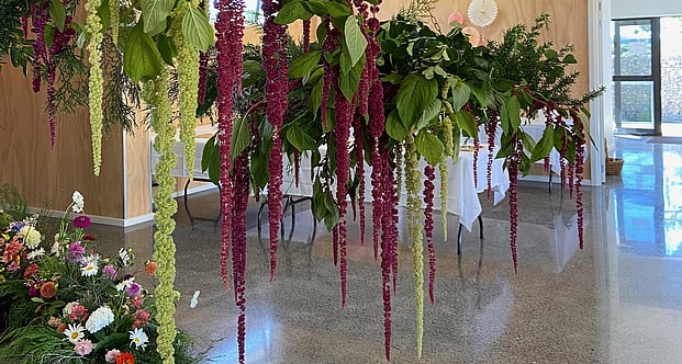 flowers for events, balls, funerals and memorials by Raglan Florist Wild About Eve