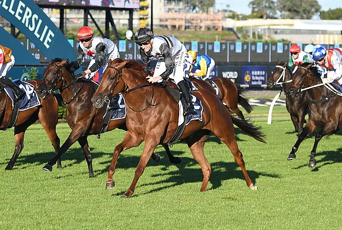 Elle Sourit winning the Entain/NZB Insurance Pearl Series Final (1400m) at Ellerslie on Saturday.  - Photo: Megan Liefting (Race Images)