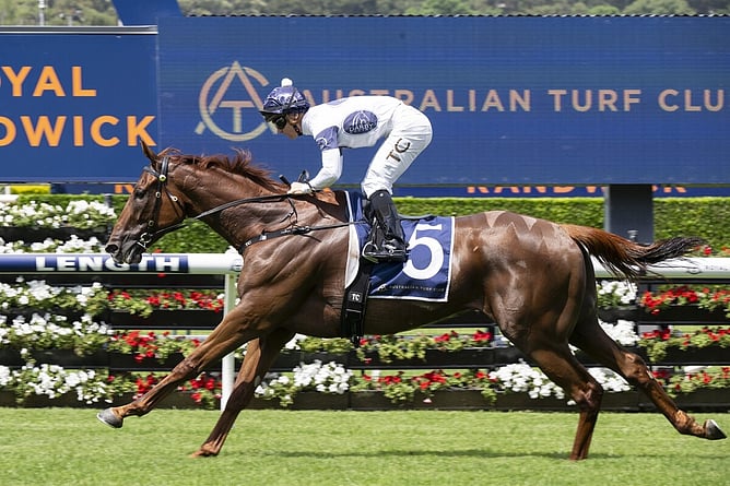 Campaldino charges home to win the Listed Randwick City Stakes (2000m) at Randwick.   -  Photo: Bradley Photos