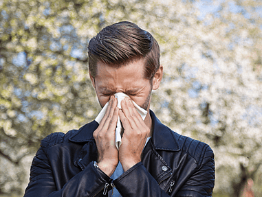 hayfever