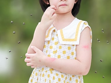 insect repellent