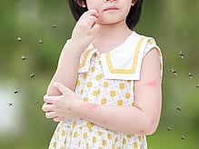 insect repellent