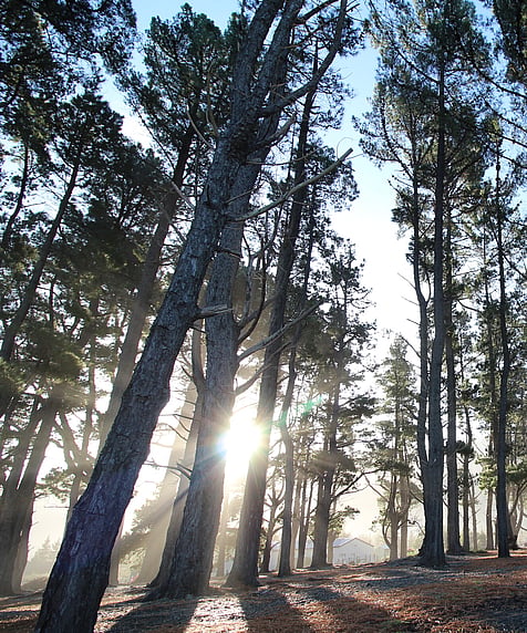 Rarangi Recreation Reserve