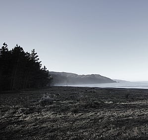 Rarangi Beach