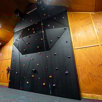black timber climbing wall. 