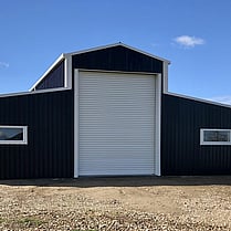 Horse Stable, Stable, Equine buildings, Barns, Horse Barns, stables Waikato, farm buildings, farm buildings waikato, sheds, sheds cambridge, sheds waikato, horse shelters, barn doors, waikato builders.