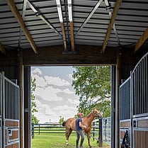 Horse Stable, Stable, Equine buildings, Barns, Horse Barns, stables Waikato, farm buildings, farm buildings waikato, sheds, sheds cambridge, sheds waikato, horse shelters, barn doors, waikato builders.horse barn