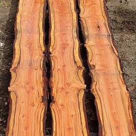 Redwood 3 Plank Table Tops at Rarefind Timber