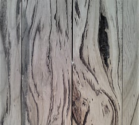 Rarefind Timber - Keno Gum