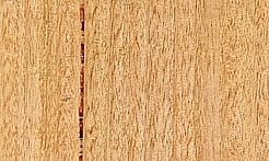 Rarefind Timber - Fastigata