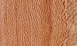 Rarefind Timber - Silly Oak