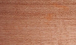 Rarefind Timber - Taraire