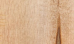 Rarefind Timber - Taraire