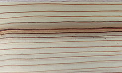 Rarefind Timber - Deodar Cedar