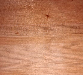 Rarefind Timber - Kauri