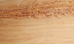 Rarefind Timber - Macrocarpa