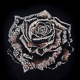 Midnight rose wall art nz
