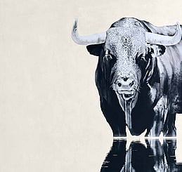 Sofia Minson art for sale - Wise as Serpents, Harmless as Doves