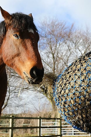 Hay Nets and Bags