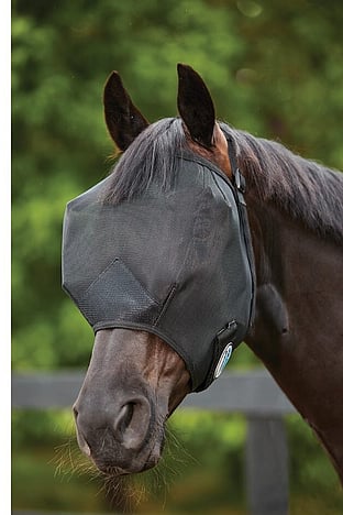 Horse Fly Protection
