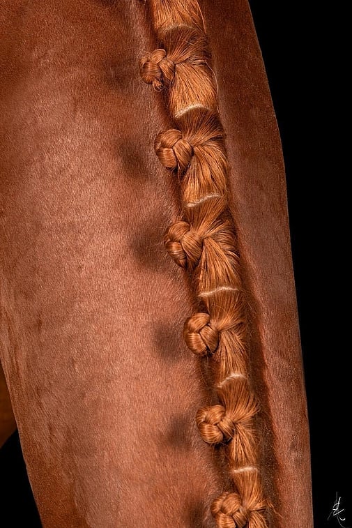 Horse Show Prep Products