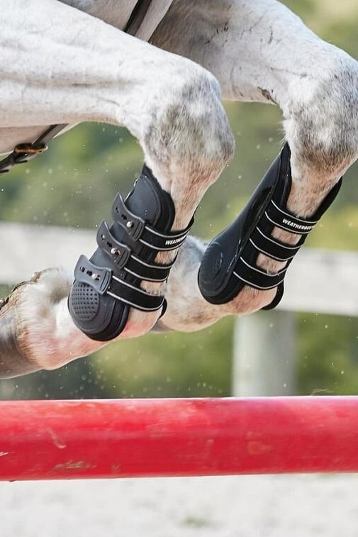 Horse Boots and Bandages