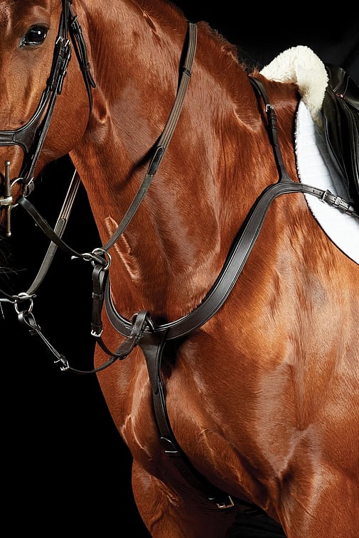 Horse Breastplates and Martingales