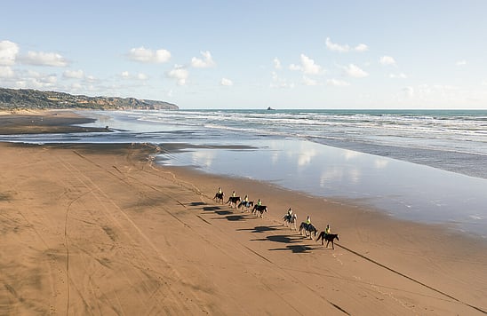 Horse_treks_for_beginners_and_intermediate