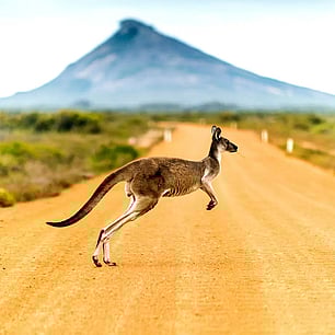 Physio wanting work in Australia