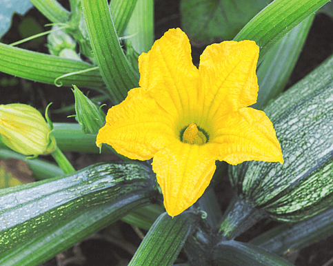 What we have available: