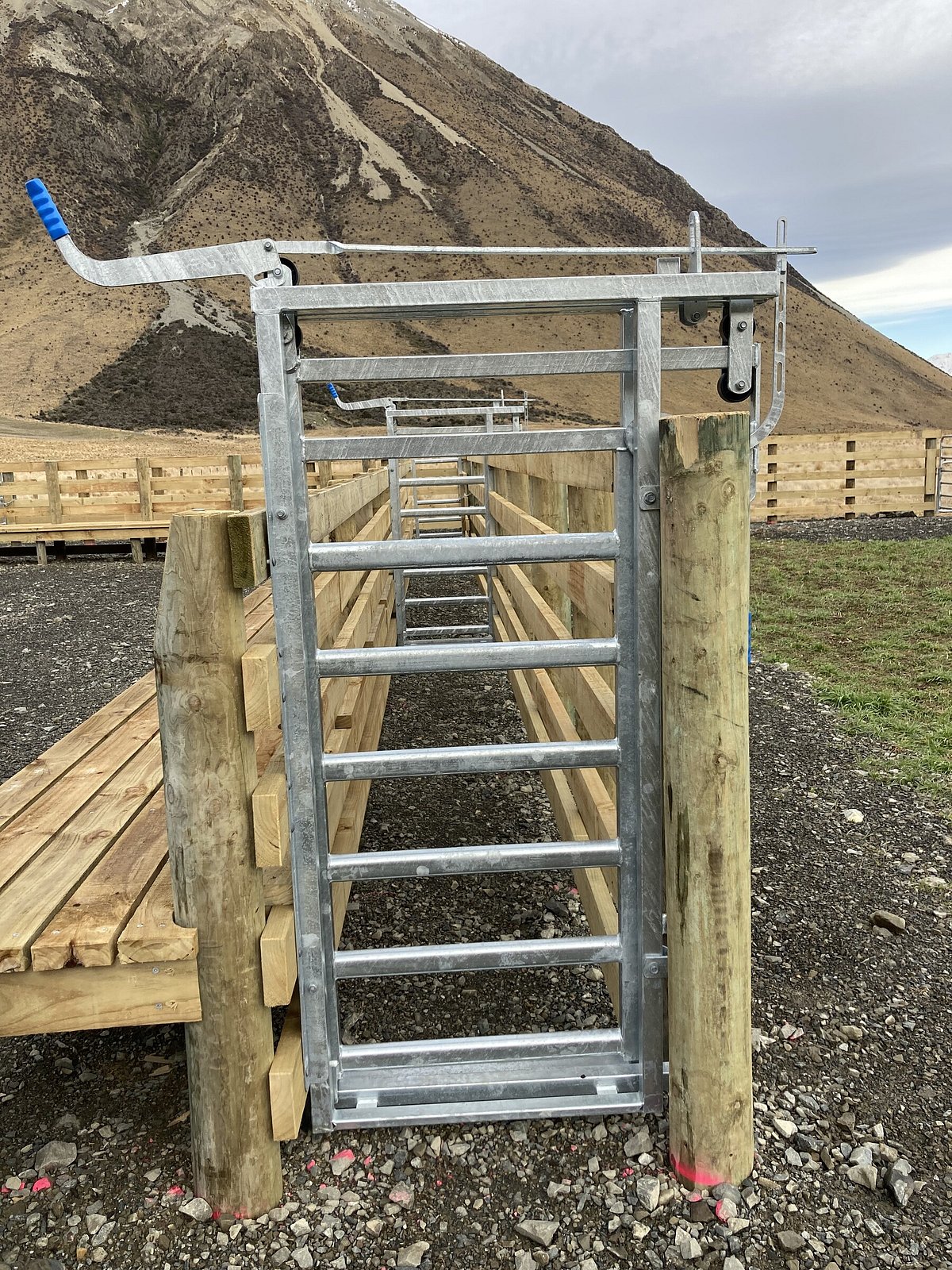 Stockyards | Hughes Fencing & Earthworks