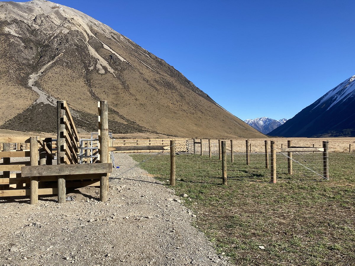 Stockyards | Hughes Fencing & Earthworks