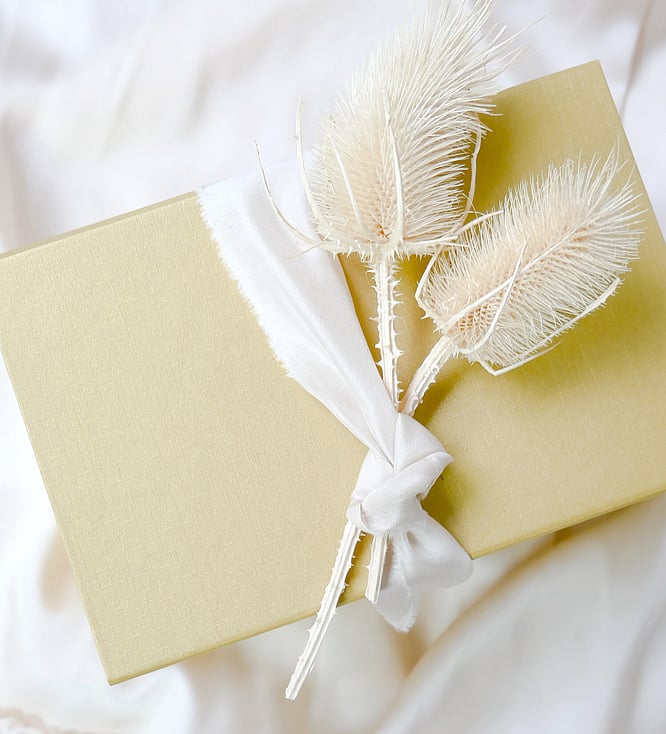 Choose a Beija Flor gift voucher  | Designer Brand Jewellery