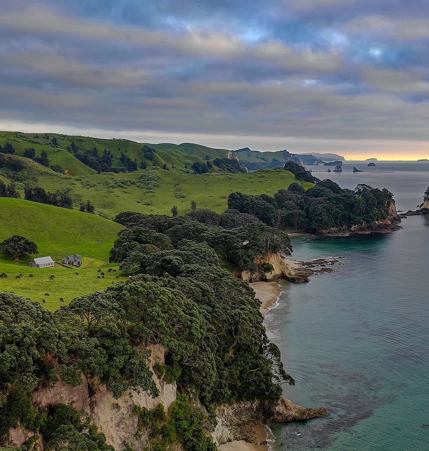 photo of coastline 