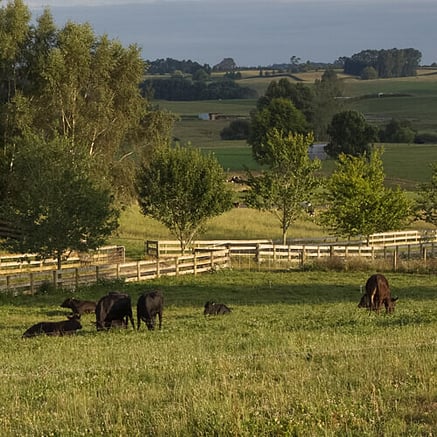 Lifestyle block fertiliser for small farm properties