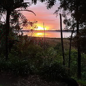 Wellington Temporary Fencing NZ Temp Fencing Wellington Temporary Fencing Hire Fence Portable Temporary Fence Construction Fencing Wellington Wairarapa Fencing Events Fencing Wellington Temp Fence Hire