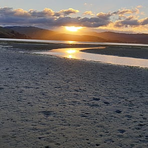 Wellington Temporary Fencing NZ Temp Fencing Wellington Temporary Fencing Hire Fence Portable Temporary Fence Construction Fencing Wellington Wairarapa Fencing Events Fencing Wellington Temp Fence Hire