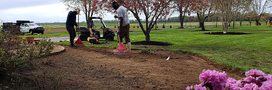 Seasonal Clean Ups
