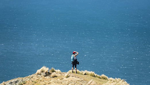 GUIDED WALKS