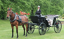 Horse Drawn Ride