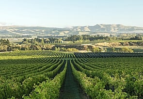 Winery Tours