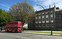 Double Decker Tour