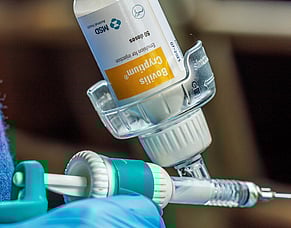 New Crypto vaccine for the toolbox