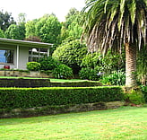 Homestead
