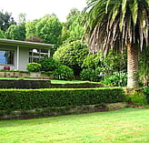 Homestead