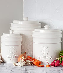 Sourdough Culture