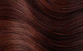 5R - Light Copper Chestnut