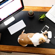 What It Takes to Run a Great Hybrid Meeting