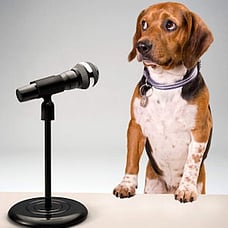 To Overcome Your Fear of Public Speaking, Stop Thinking About Yourself